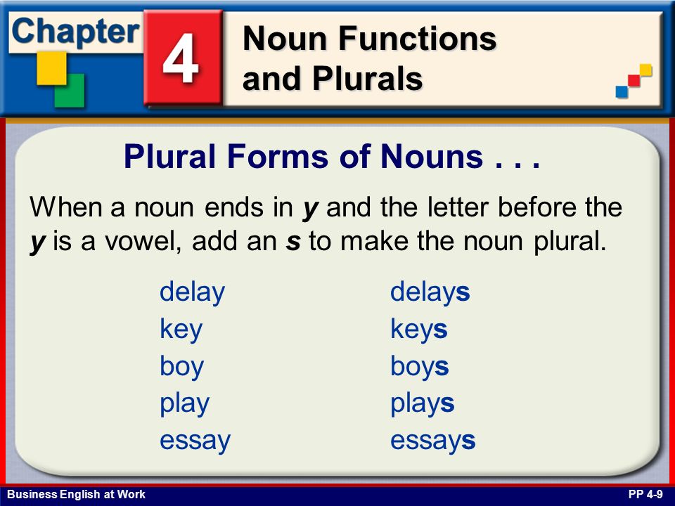 plural Essay